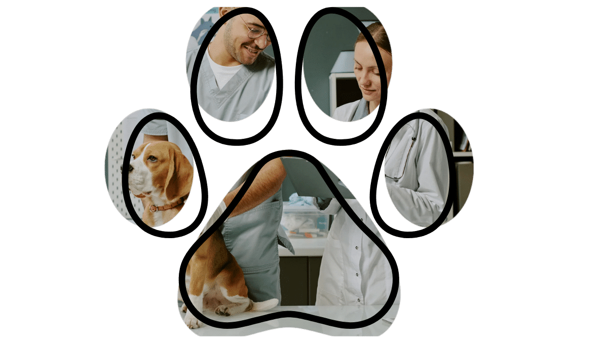 Vet near me wellness exam Fox Veterinary Hospital Elyria OH dog care