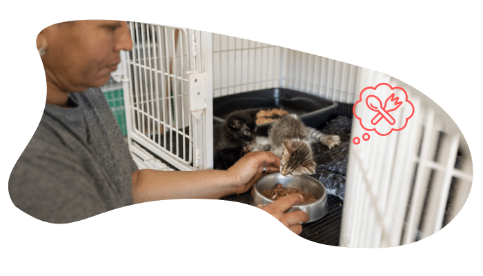 Newly adopted shelter pet receiving care at Fox Veterinary Hospital in Elyria, OH