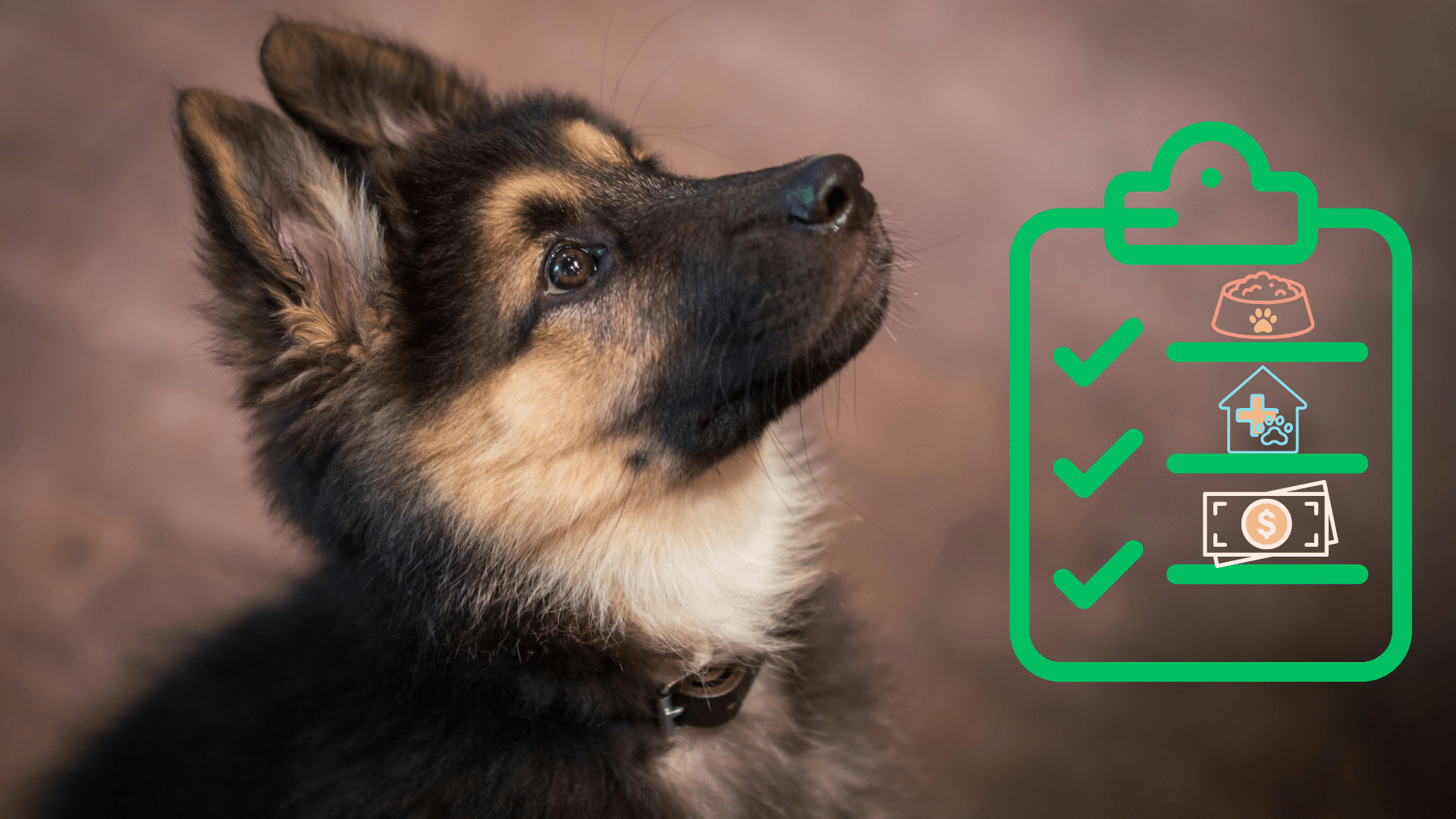 New Pet Care Checklist from Fox Veterinary Hospital Puppy beside a new pet care checklist from Fox Veterinary Hospital in Elyria, OH